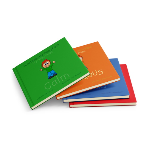 All 4 books in the Cover for the book: How Does My Body Feel? series.