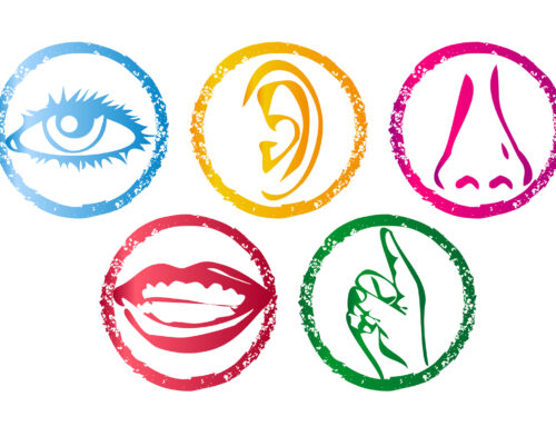 Sensory Processing Challenges In Children