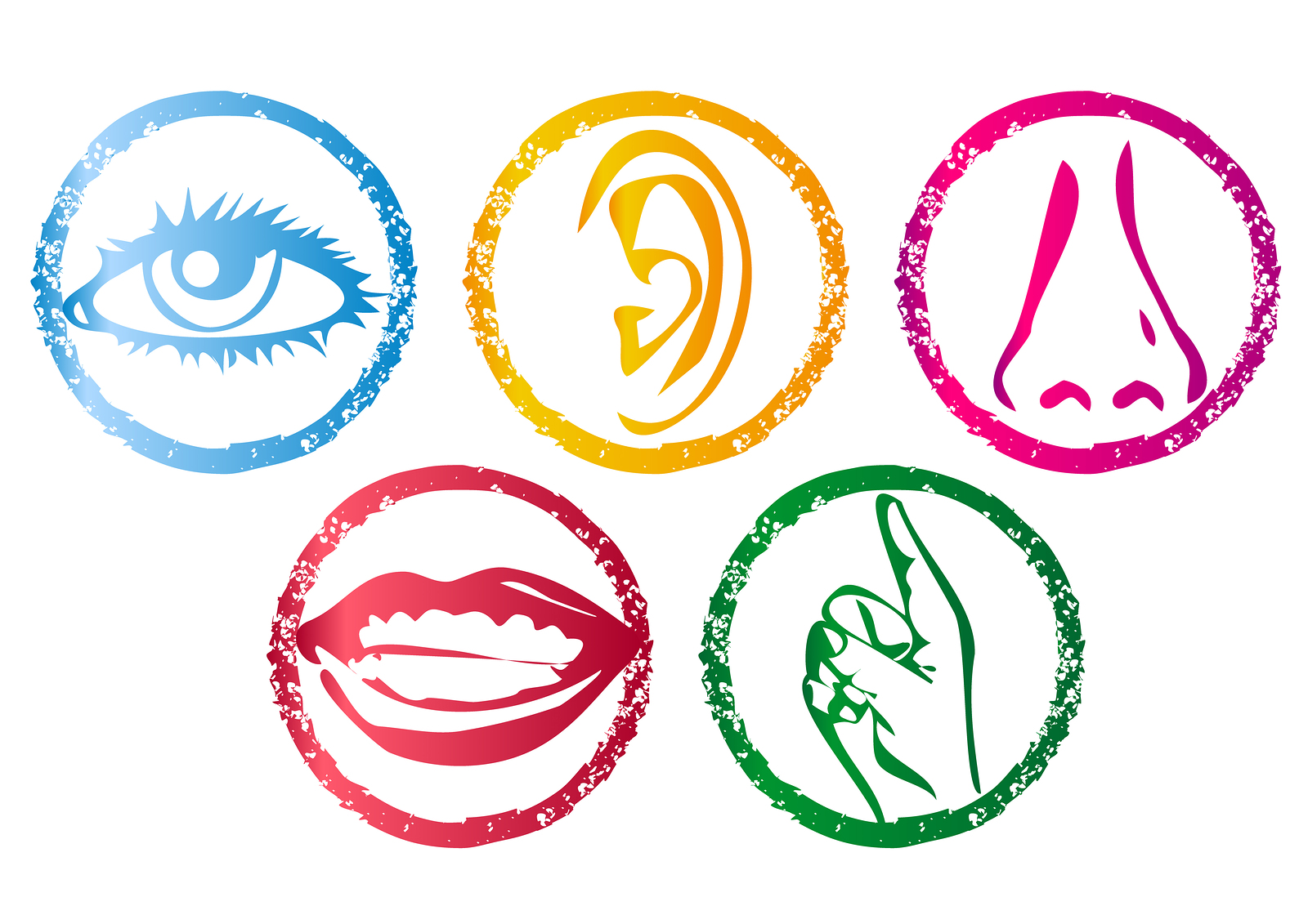 5 illustrations: Eye, ear, nnose, mouth, finger